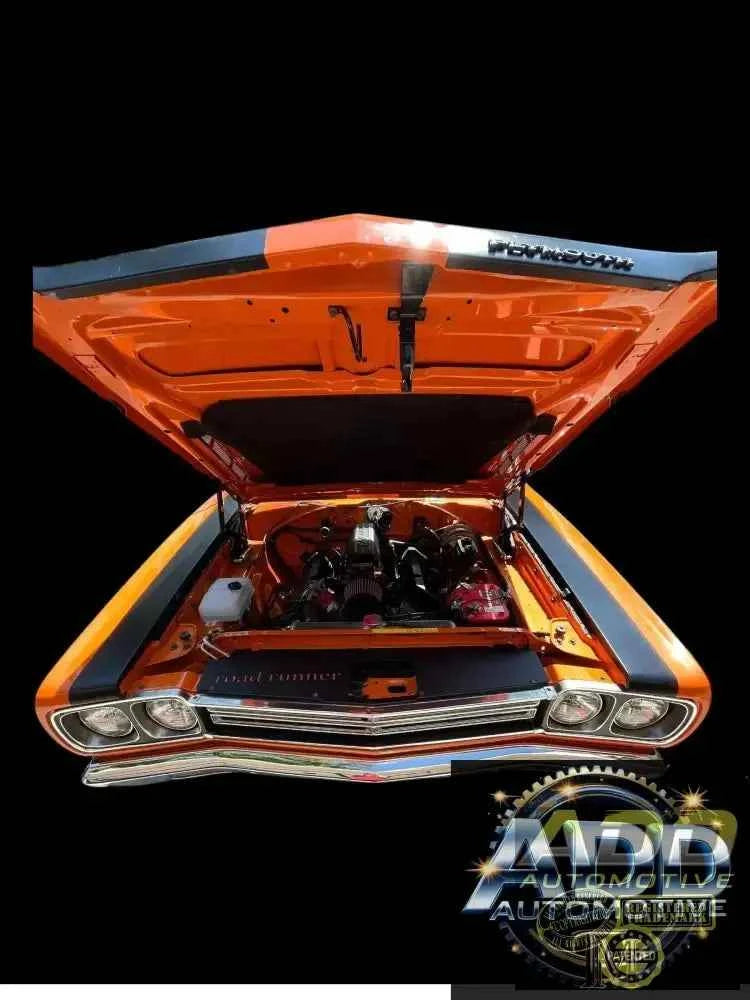 1969 Roadrunner Top Show Panel