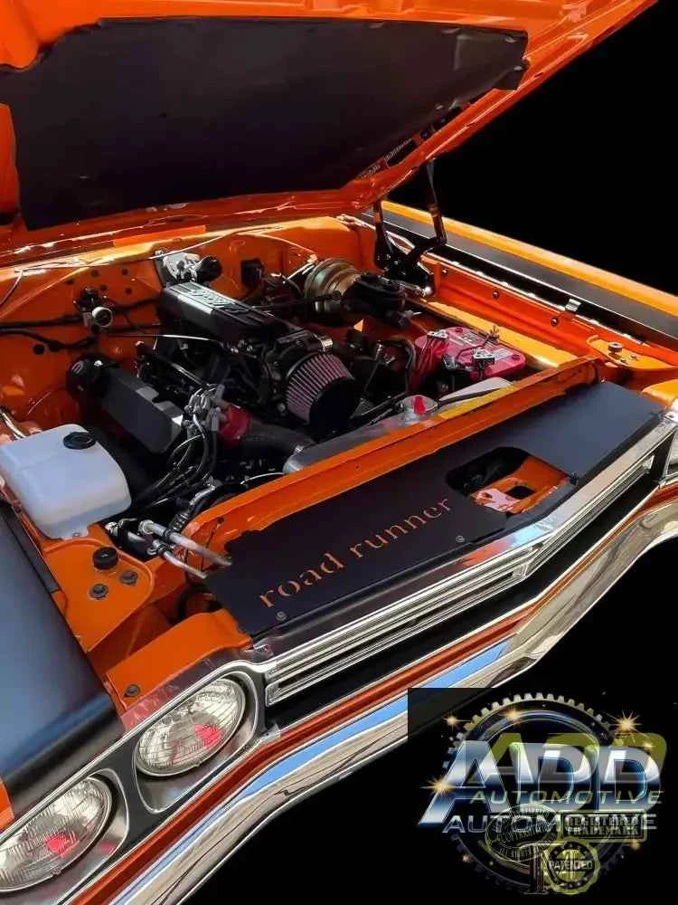 1969 Roadrunner Top Show Panel