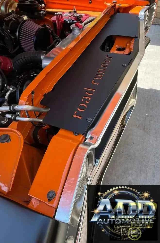 1969 Roadrunner Top Show Panel