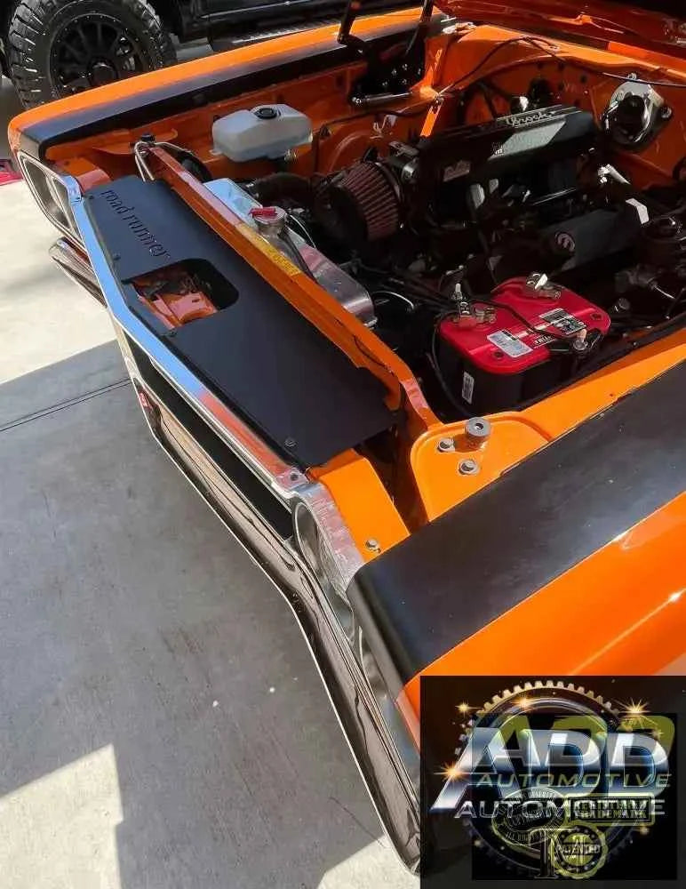 1969 Roadrunner Top Show Panel